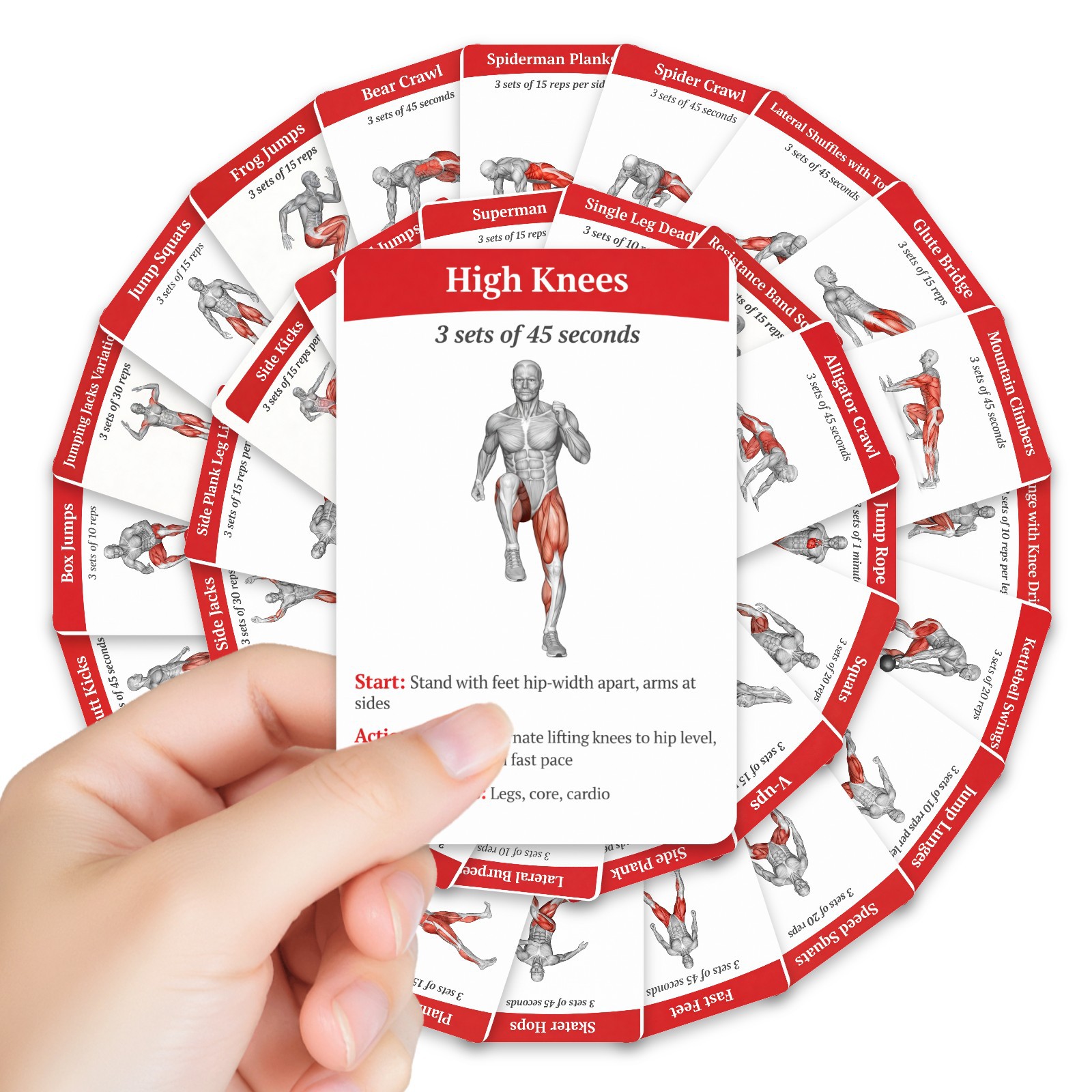 Home Gym Guide - 36Pcs Kartu Panduan Latihan Pembakaran Lemak