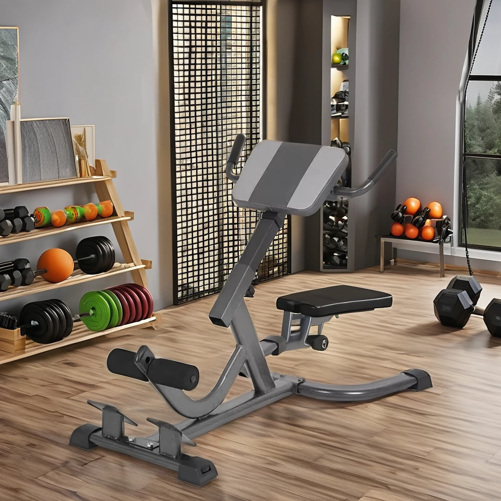 Kursi Latihan Punggung Bawah y - Home Gym Hamstring Exercises ulasan dan harga