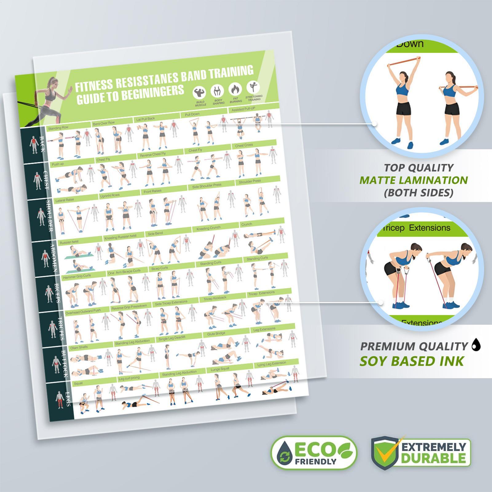 Poster Latihan dengan Panduan  - Home Gym Guide ulasan dan harga