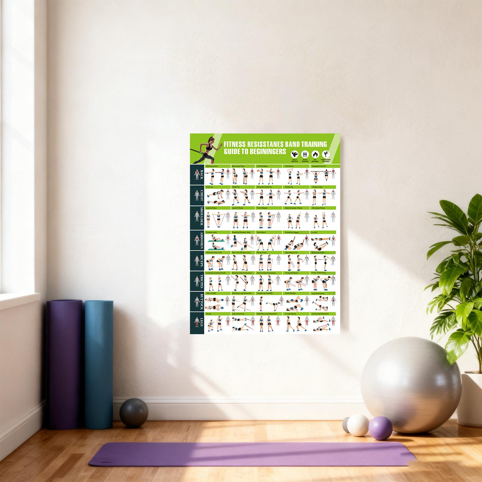 Poster Latihan dengan Panduan  - Home Gym Guide ulasan dan harga