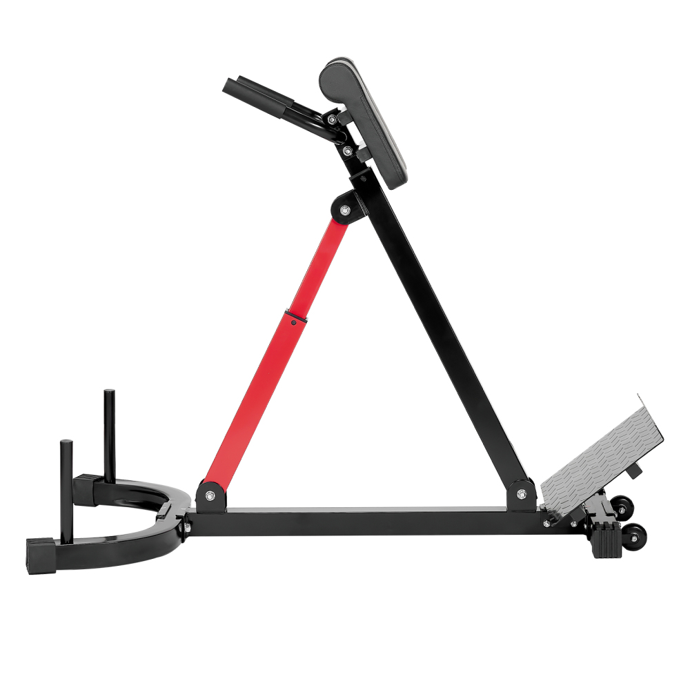 Bangku Latihan Roman Chair Hyp - Home Gym Hamstring Exercises ulasan dan harga