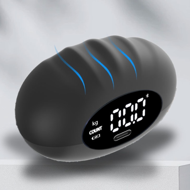 Dinamometer Tangan Digital Erg - Home Gym Rig ulasan dan harga