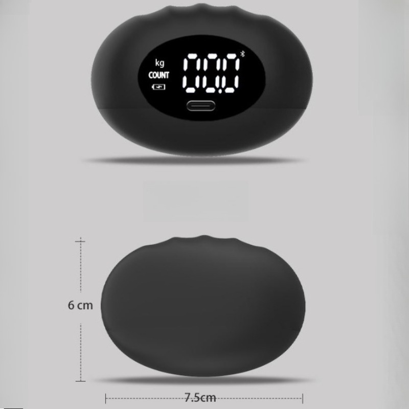 Dinamometer Tangan Digital Erg - Home Gym Rig ulasan dan harga