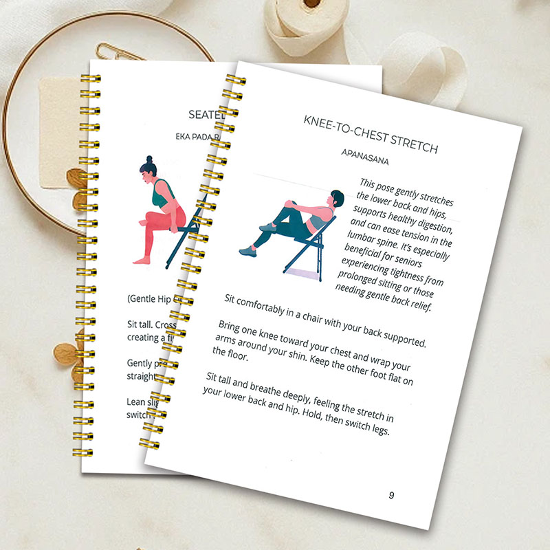Jurnal Yoga Kursi 30 Hari untu - Home Gym Guide ulasan dan harga