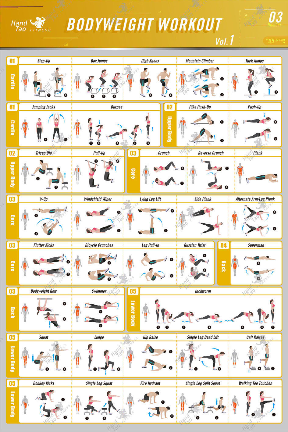 Latihan beban tubuh Panduan Bi - Home Gym Guide ulasan dan harga