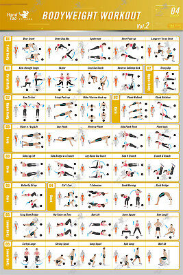 Latihan beban tubuh Panduan Bi - Home Gym Guide ulasan dan harga
