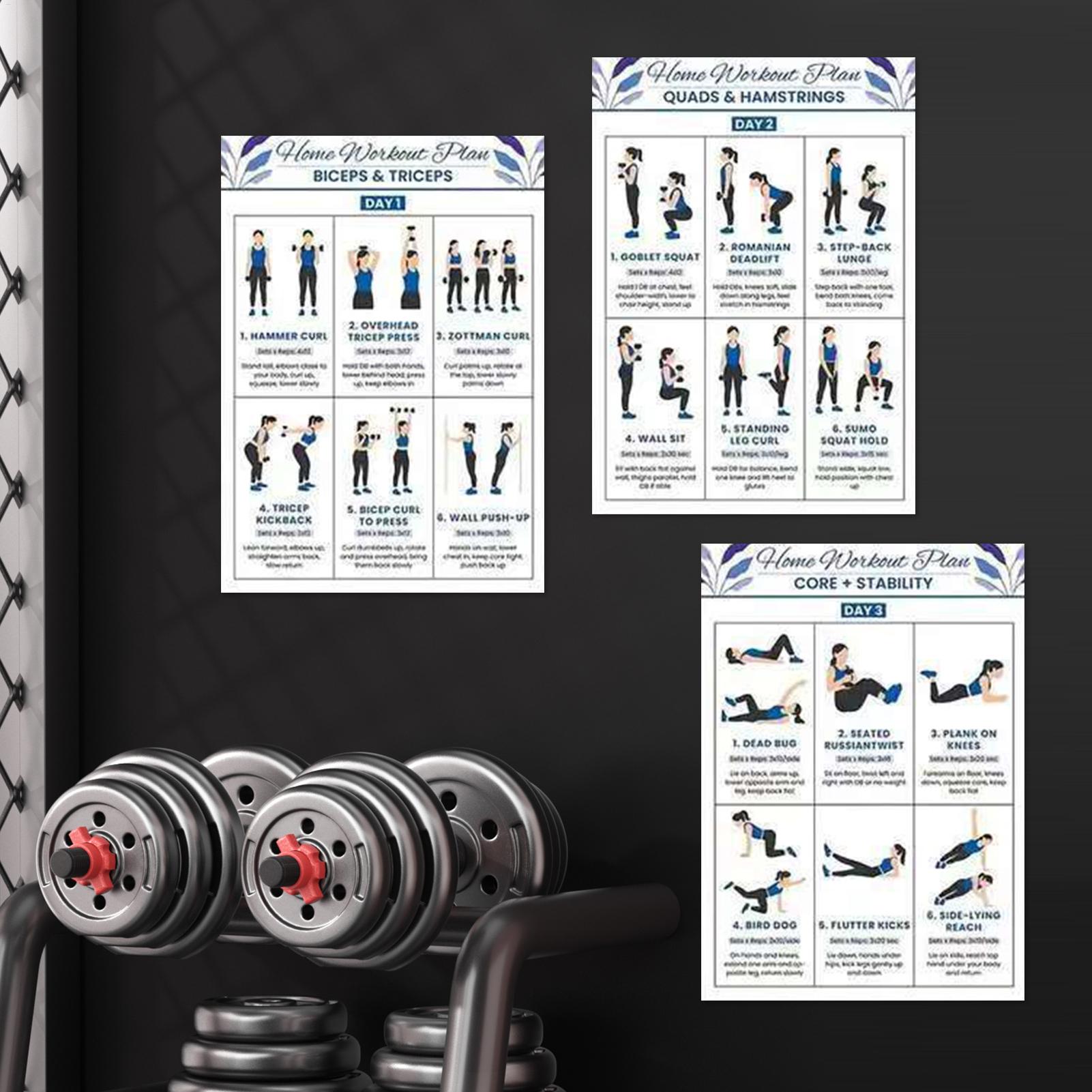 6 Buah Poster Latihan Peregang - Home Gym Guide ulasan dan harga