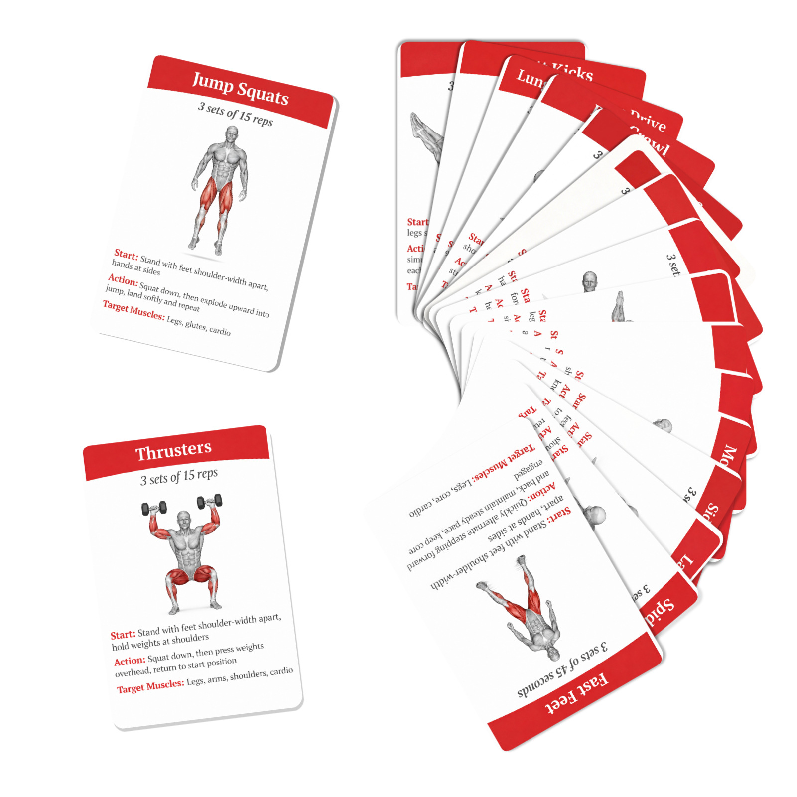36Pcs Kartu Panduan Latihan Pe - Home Gym Guide ulasan dan harga